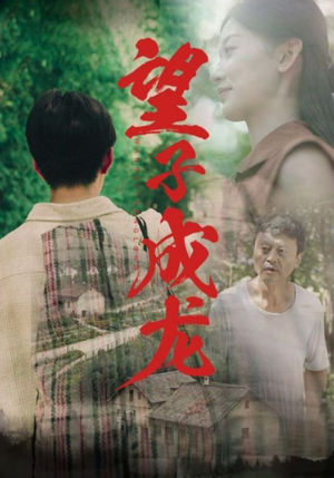 望子成龙（74集）短剧视频分享