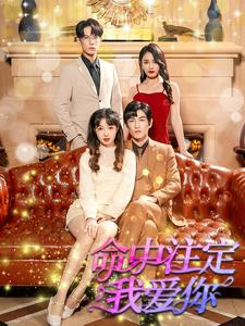 命中注定我爱你（99集）热播短剧免费看