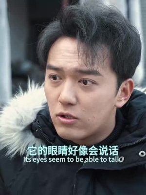 狐仙（30集）追风的女孩短剧