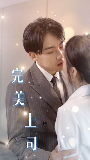 完美上司（30集）全剧看到大结局