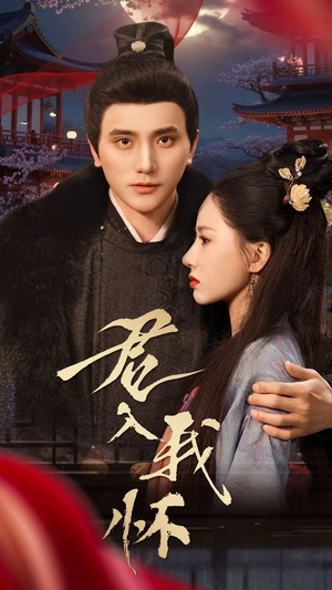 君入我怀（60集）评价怎么样