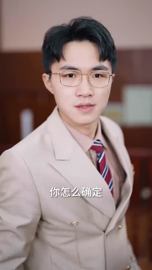 金牌律师（48集）全集一网打尽