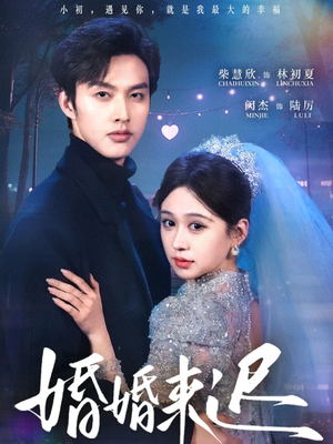 婚婚来迟（86集）在线观看