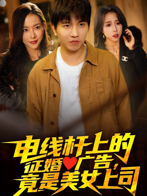 电线杆上的征婚广告，竟是美女上司（90集）在哪里看