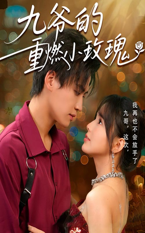 九爷的重燃小玫瑰（67集）深深爱上这部剧