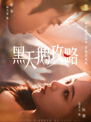 黑天鹅攻略（65集）高清画质免费看