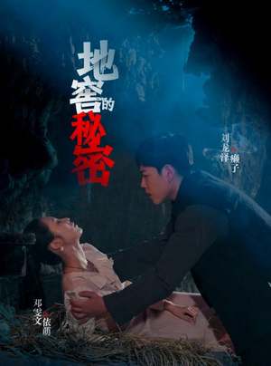 地窖的秘密（40集）一共多少集