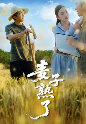 麦子熟了（52集）大结局