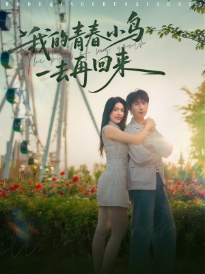 我的青春小鸟一去再回来（95集）短剧太精彩