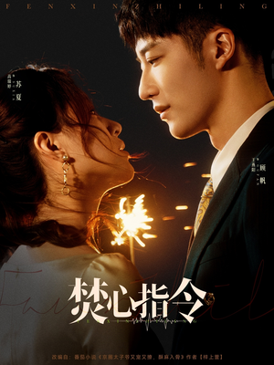 焚心指令（80集）好看短剧追不停