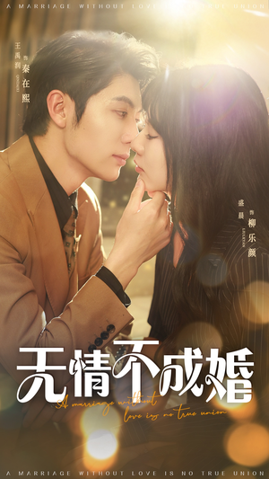 无情不成婚（70集）大结局一气呵成