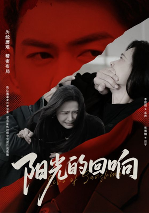 阳光的回响（50集）深深爱上这部剧