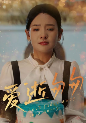 爱逝匆匆（30集）全部免费看全集