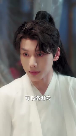 和离后公主她被迫饲养反派影卫（100集）360网盘观看