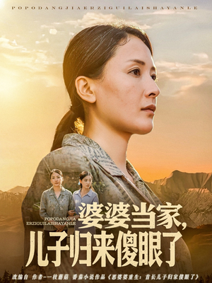 婆婆当家儿子归来傻眼了（80集）西瓜短剧免费看