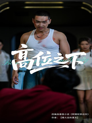 高位之下（65集）热播短剧来袭