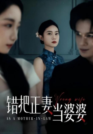 错把正妻当婆婆（46集）热门短剧又来了