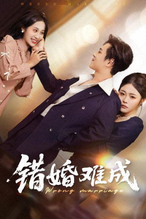 错婚难成（45集）红果短剧看全集