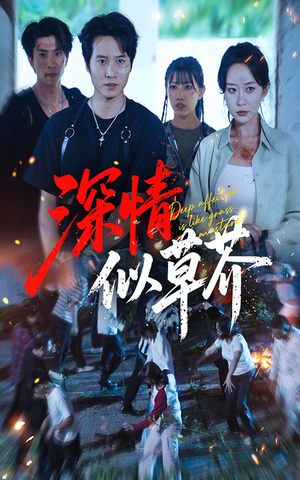深情似草芥（51集）短剧后续更精彩