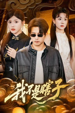我不是瞎子（68集）免费短剧大全