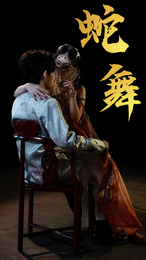 蛇舞（40集）高清画质免费看