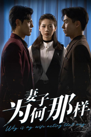 妻子为何那样（60集）热播短剧分享