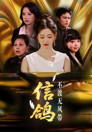 信鸽不渡无风带（65集）精彩的网络短剧