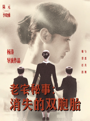 老宅秘事消失的双胞胎（90集）热门爆款短剧