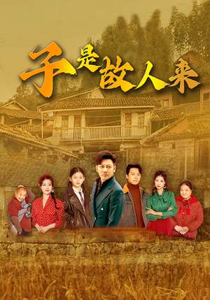 子是故人来（65集）全集下载