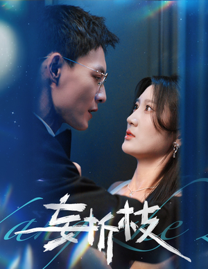 妄折枝（53集）在线看