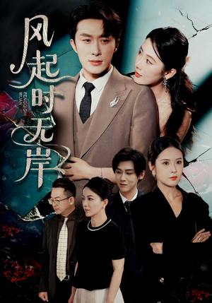 风起时无岸（58集）网盘在线观看