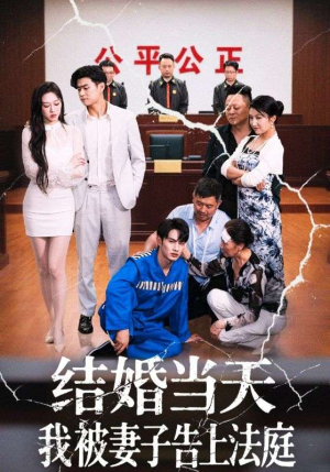 结婚当天我被妻子告上法庭（30集）好看上头短剧
