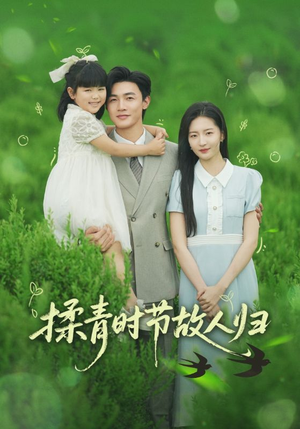 揉青时节故人归（60集）免费在线看