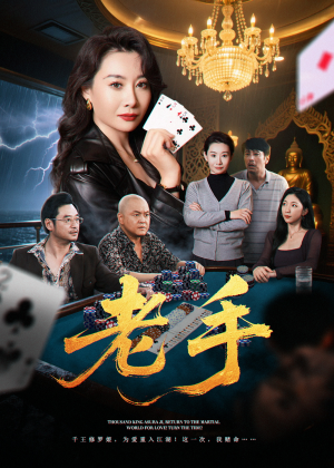 老手（36集）大结局一气呵成