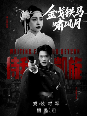 金戈铁马啸风月（54集）全集一网打尽
