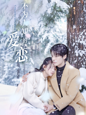 不为人知的爱恋（70集）演员表