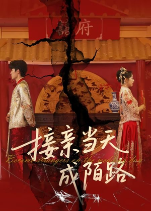 接亲当天成陌路（50集）短剧免费观看