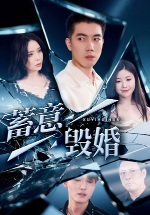 蓄意毁婚（51集）高分推荐免费看