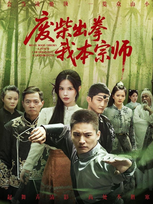 废柴出拳我本宗师（61集）全集下载