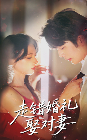 走错婚礼娶对妻（60集）第三季