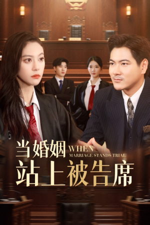 当婚姻站上被告席（30集）最热短剧抢先看