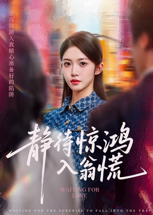 静待惊鸿入翁慌（40集）好看短剧推荐