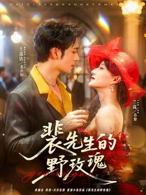 裴先生的野玫瑰（72集）最火短剧热播