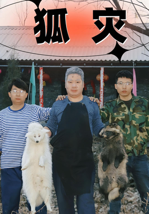 狐灾（25集）去哪里看