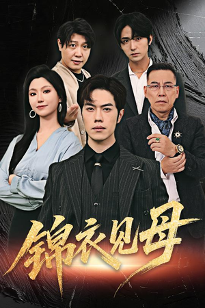 锦衣见母（60集）更新时间