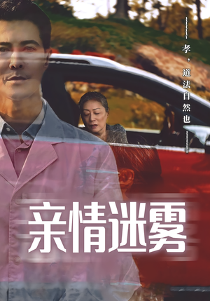 亲情迷雾（30集）推荐你们也去看