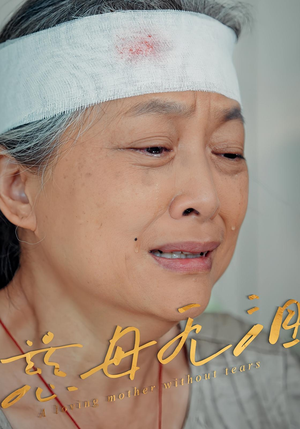 慈母无泪（30集）无需会员轻松看