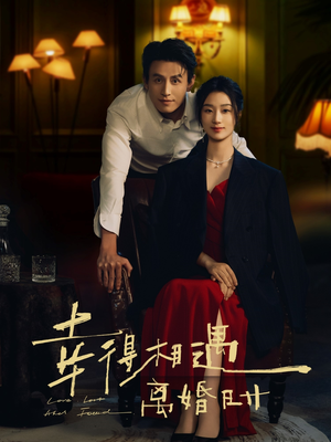 幸得相遇离婚时（81集）短剧看全集