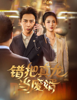错把真龙当废婿（60集）最后一集