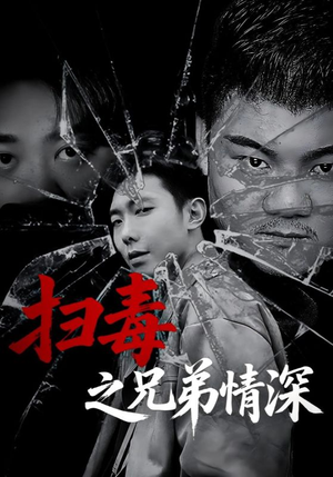 扫毒之兄弟情深（50集）短剧上热门